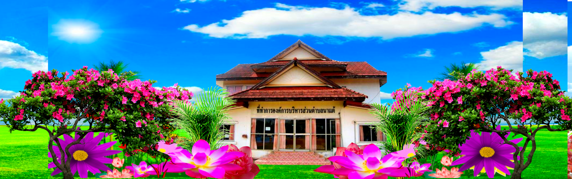 พื้นหลัง